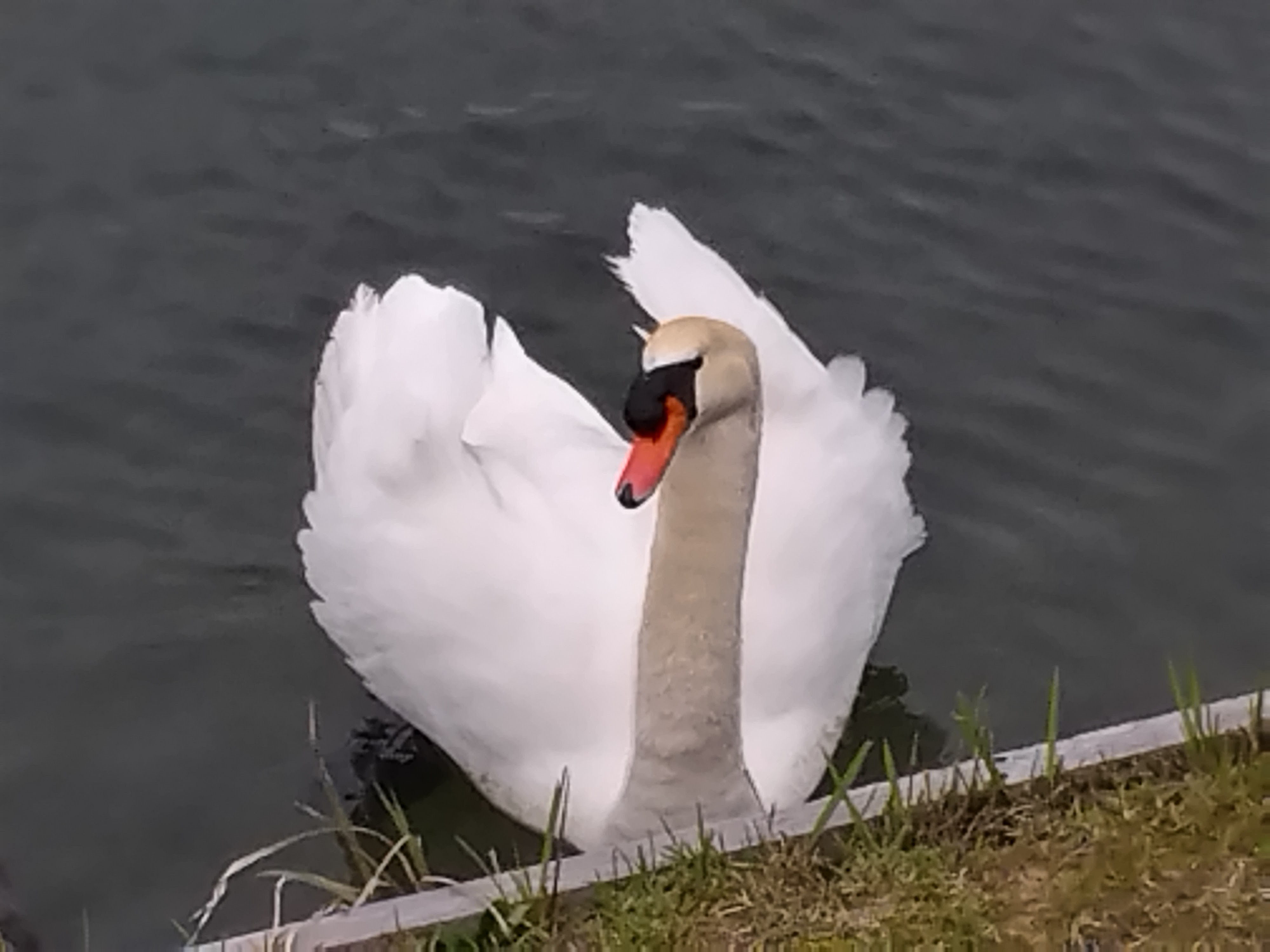 占い師リーベのお気に入り写真1